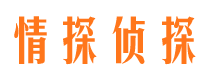 梅里斯市调查公司